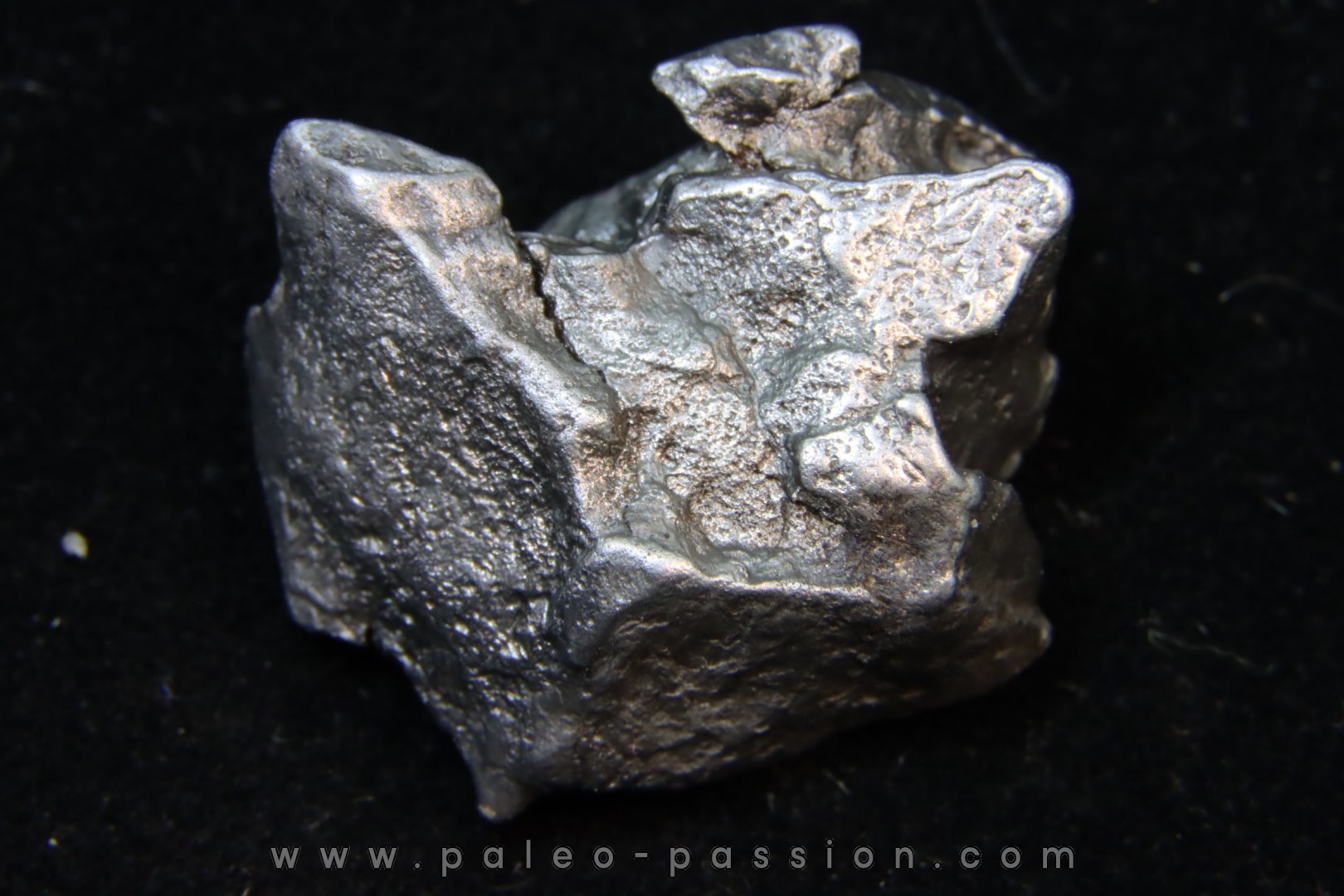 Météorite SIKHOTE ALIN - Russie