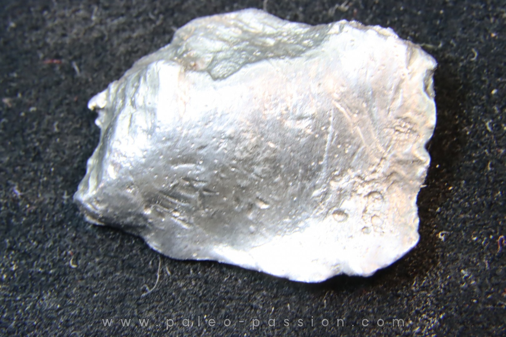 Météorite SIKHOTE ALIN - Russie