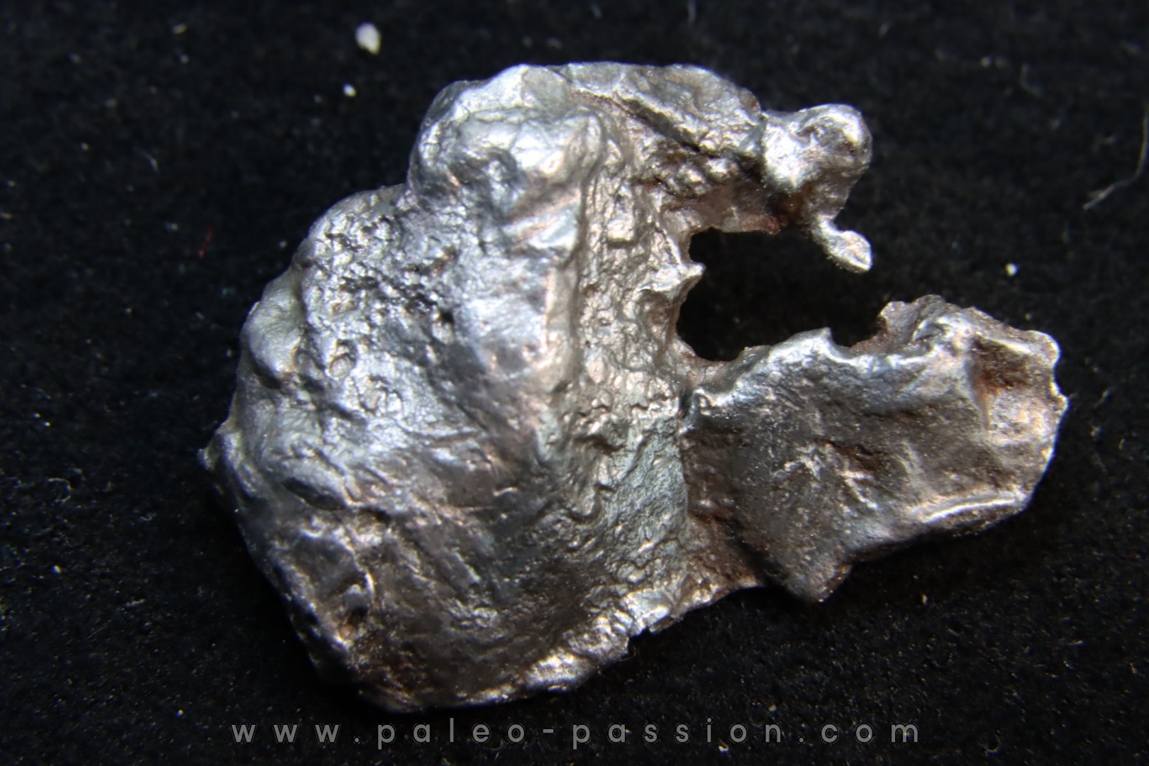 Météorite SIKHOTE ALIN - Russie