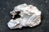 METEORITE SIDERITE SIKHOTE ALIN