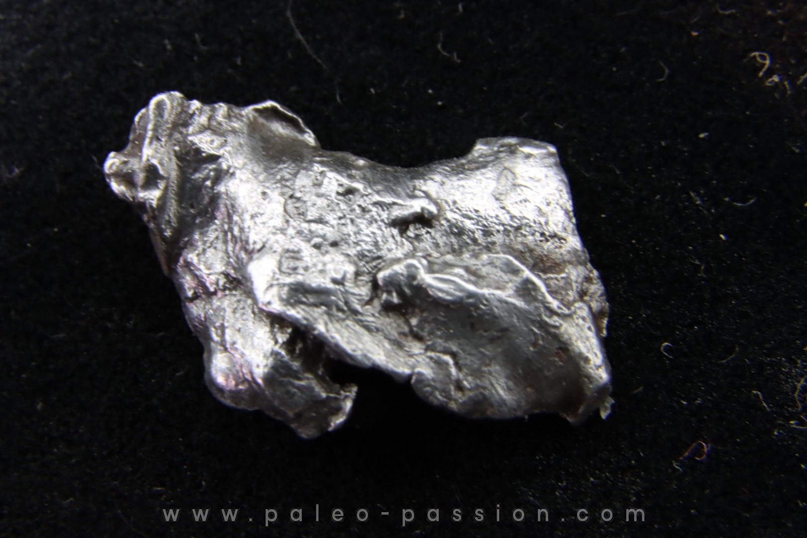 Météorite SIKHOTE ALIN - Russie