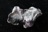 METEORITE SIDERITE SIKHOTE ALIN