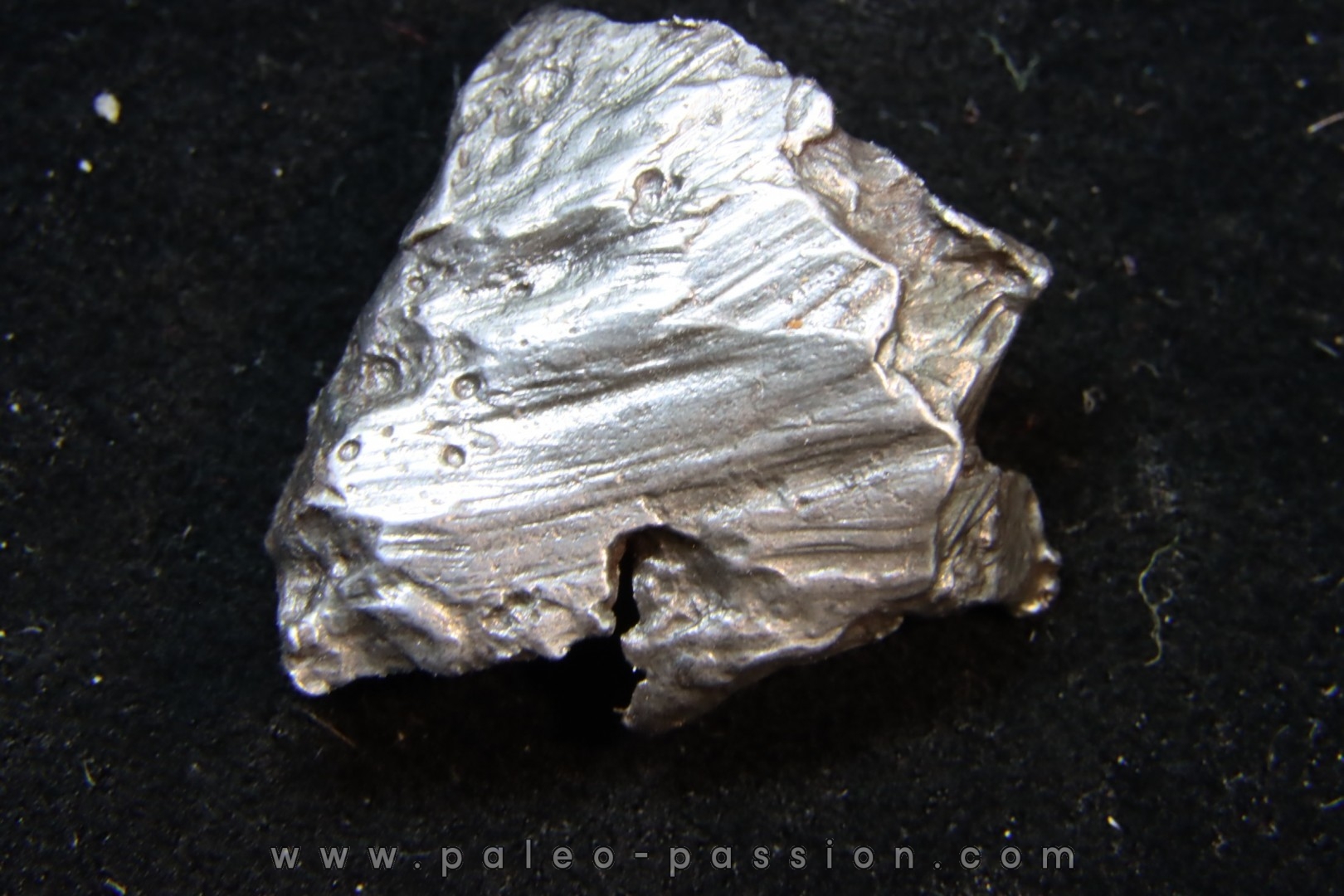 Météorite SIKHOTE ALIN - Russie