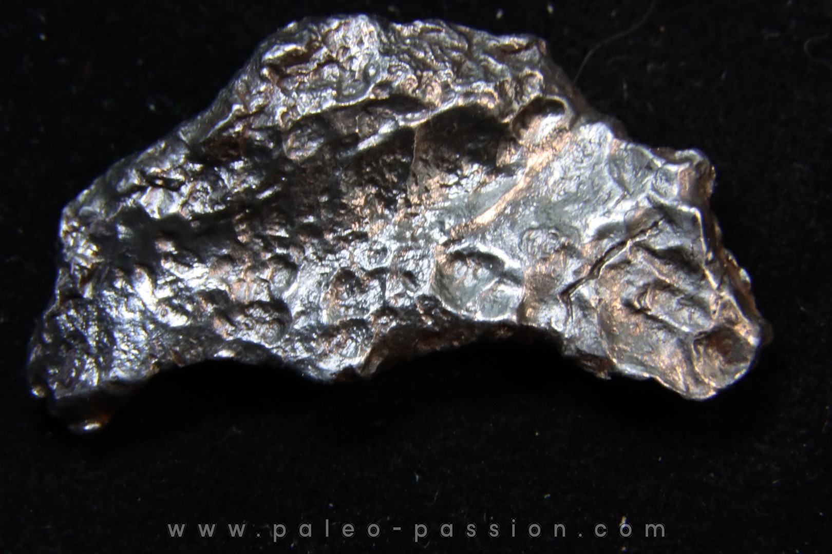 Météorite SIKHOTE ALIN - Russie