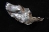 Météorite SIKHOTE ALIN - Russie