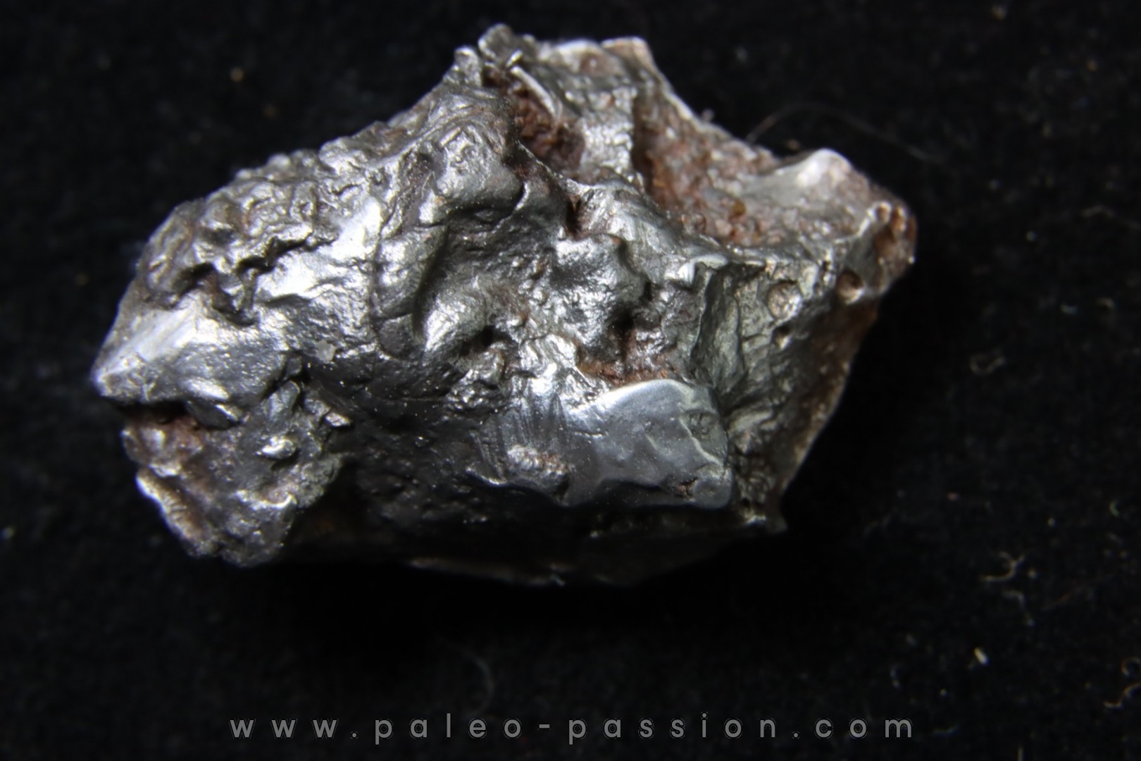 Météorite SIKHOTE ALIN - Russie