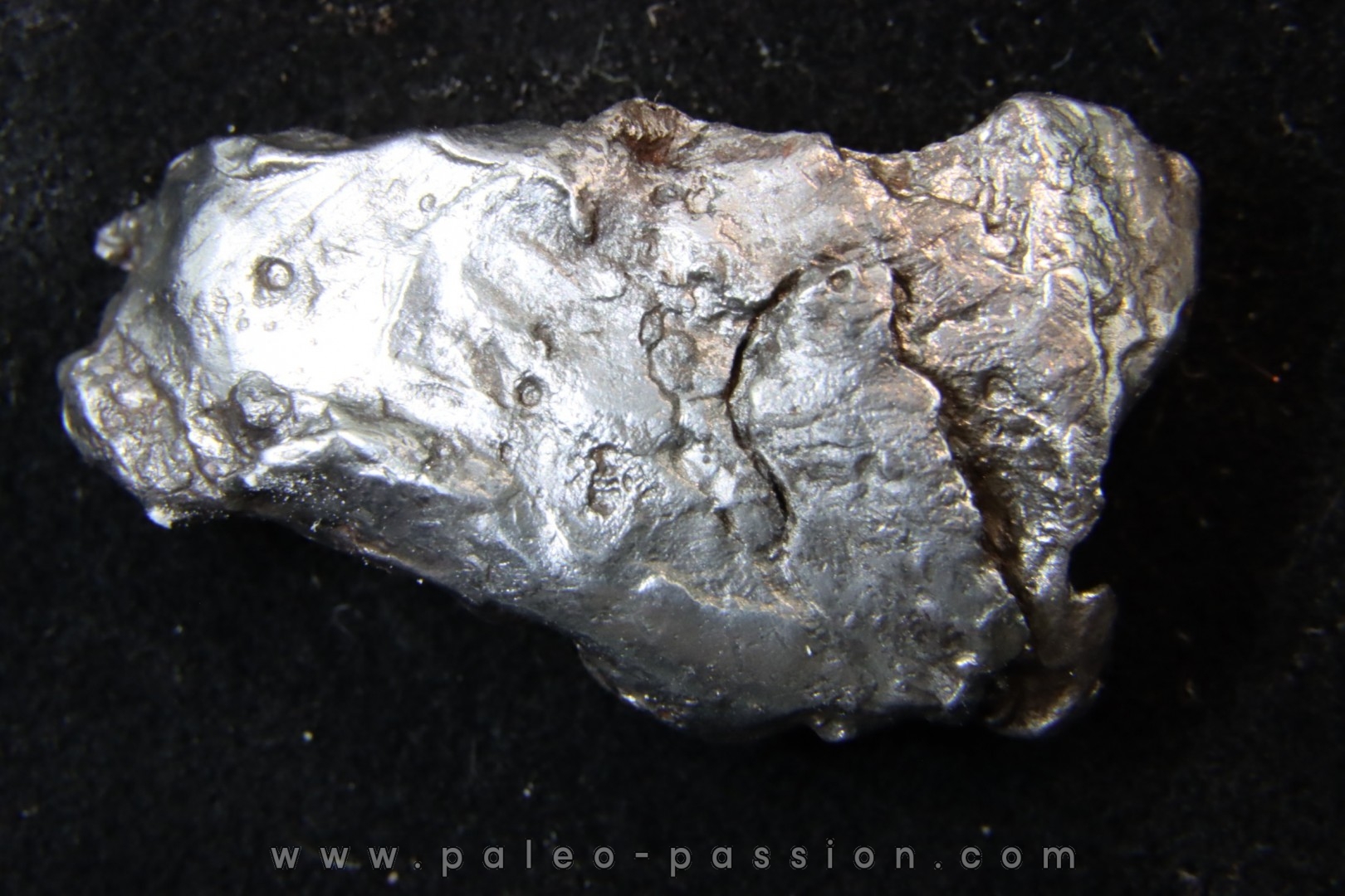 Météorite SIKHOTE ALIN - Russie