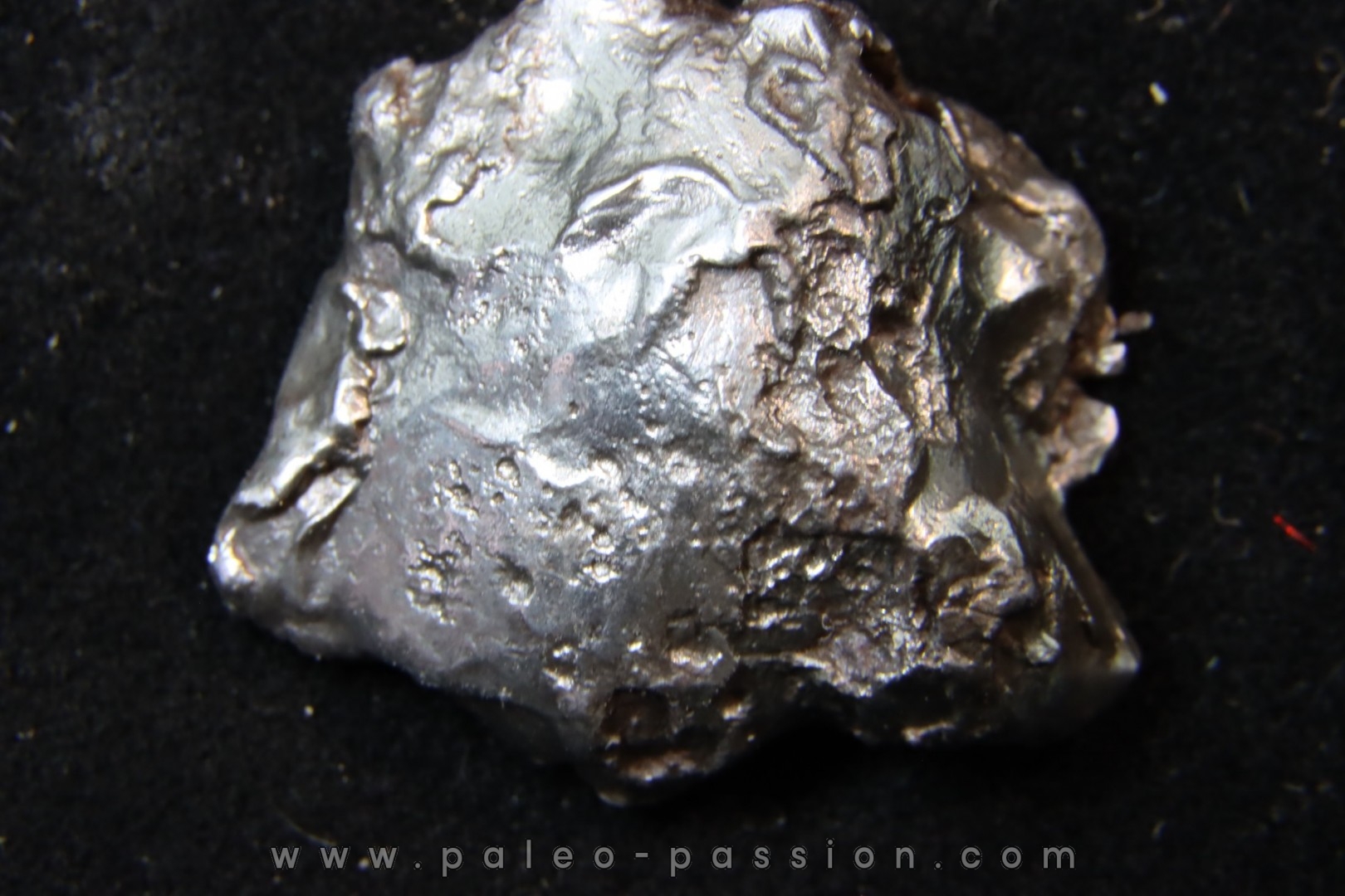 Météorite SIKHOTE ALIN - Russie