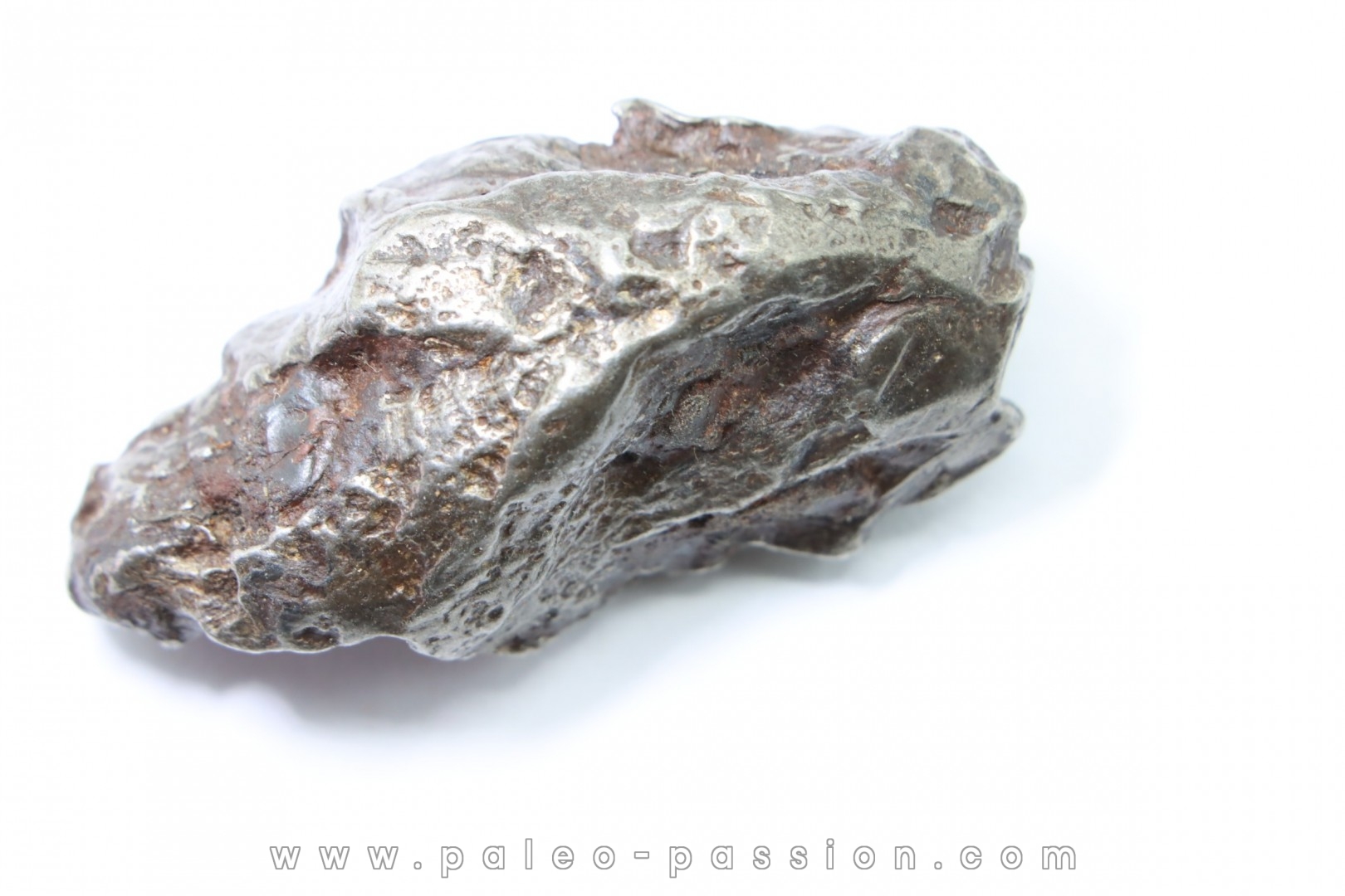 Météorite SIKHOTE ALIN - Russie