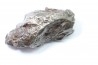 METEORITE SIDERITE SIKHOTE ALIN
