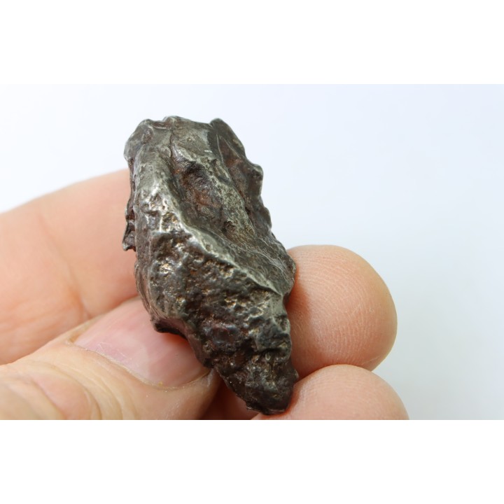 METEORITE SIDERITE SIKHOTE ALIN
