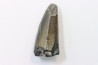 CROCODILE tooth:  SARCOSUCHUS IMPERATOR (19)