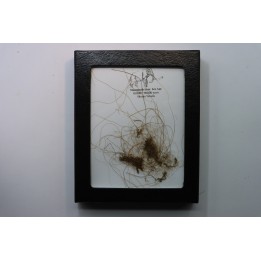 MAMMOTH HAIR from Siberia