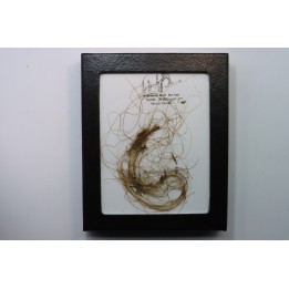 MAMMOTH HAIR from Siberia