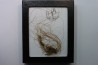 MAMMOTH HAIR from Siberia