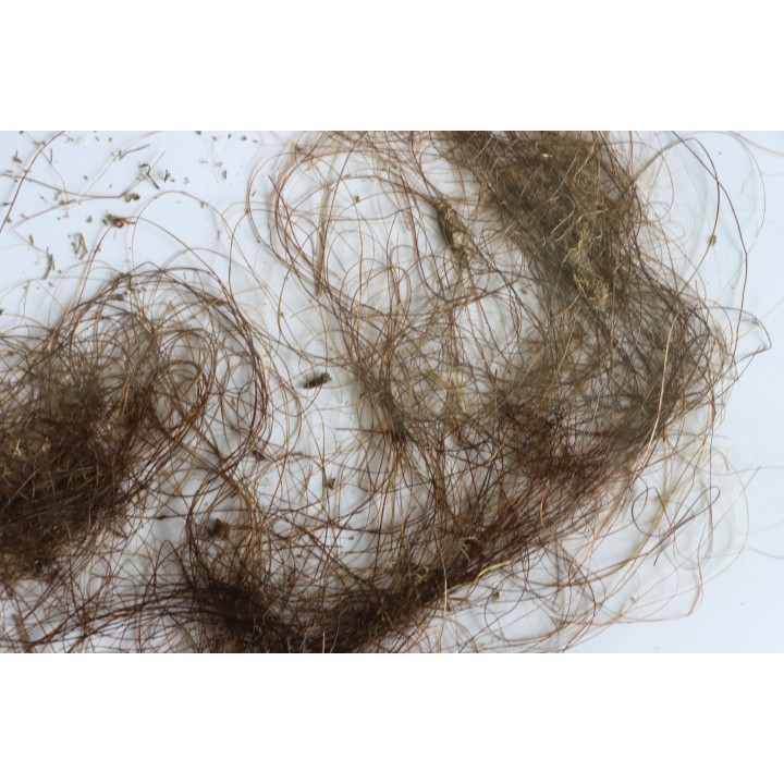 MAMMOTH HAIR from Siberia