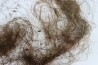 MAMMOTH HAIR from Siberia