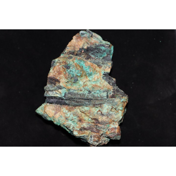 bois fossile malachite - trias - chinle formation - Nouveau Mexique – USA