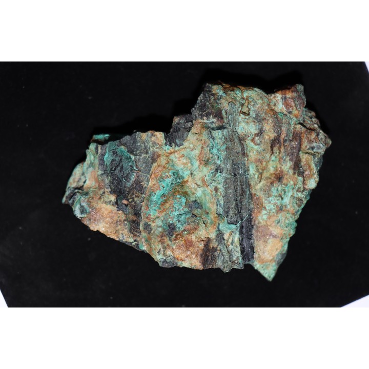 fossil wood with malachite - triassic - chinle formation - Neuw Mexico – USA