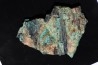 fossil wood with malachite - triassic - chinle formation - Neuw Mexico – USA
