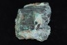 bois fossile malachite - trias - chinle formation - Nouveau Mexique – USA