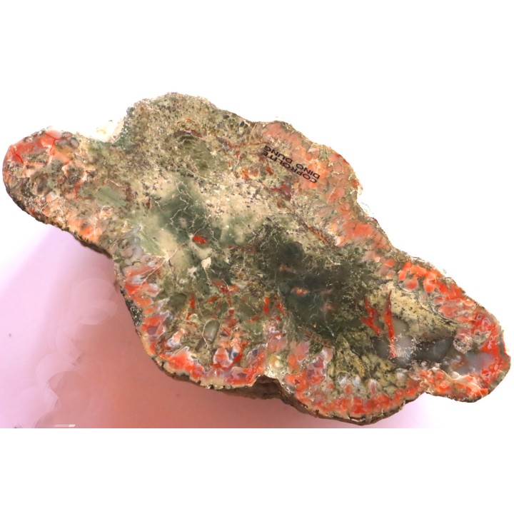 coprolithe de dinosaure - jurassique - Morrison Formation