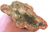 dinosaur coprolithe - jurassic - Morrison Formation