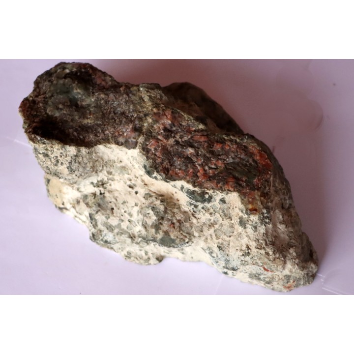 coprolithe de dinosaure - jurassique - Morrison Formation