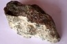 dinosaur coprolithe - jurassic - Morrison Formation