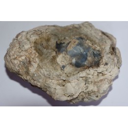 coprolithe de dinosaure - jurassique - Morrison Formation