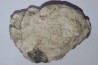 dinosaur coprolithe - jurassic - Morrison Formation