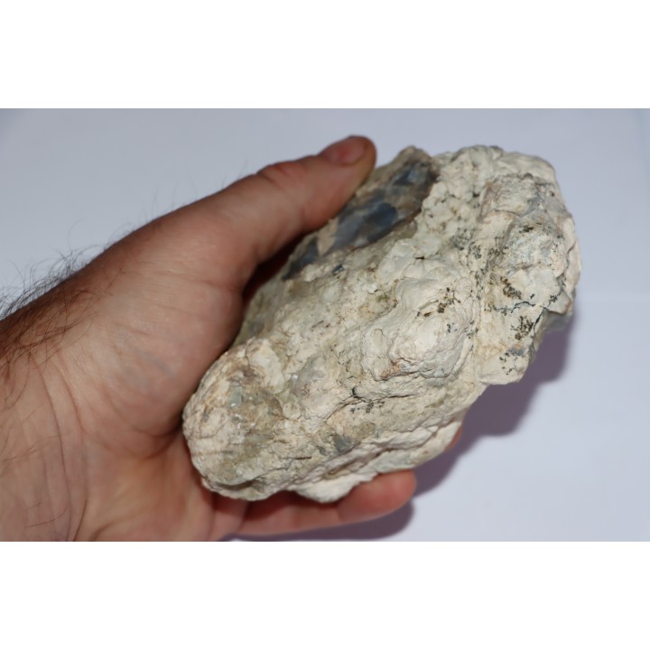 dinosaur coprolithe - jurassic - Morrison Formation