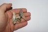 shark teeth: CARCHARODON MEGALODON