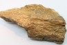 mandibule de dinosaure hadrosaure : edmontosaure