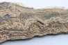 STROMATOLITE - Paléozoïc - Mexico
