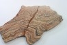 STROMATOLITE - Paléozoïc - Mexico