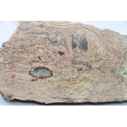 STROMATOLITE - Paléozoïc - Mexico