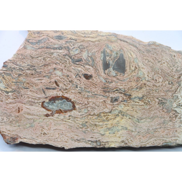 STROMATOLITE - Paléozoïc - Mexico