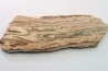 STROMATOLITE - Paléozoïc - Mexico