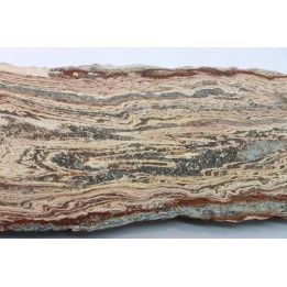 STROMATOLITE - Paléozoïc - Mexico