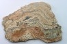STROMATOLITE - Paléozoïc - Mexico