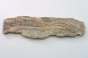 STROMATOLITE - Paléozoïc - Mexico