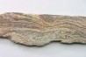 STROMATOLITE - Paléozoïc - Mexico