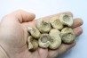 lot de 10 ammonites à déterminer - bathonien - Nièvre 58 - FRANCE