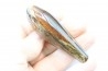 Sperm Whale tooth :Scaldicetus (2)
