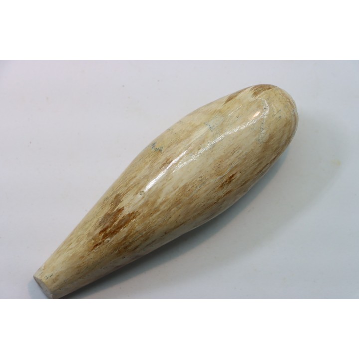 Sperm Whale tooth :Scaldicetus (2)