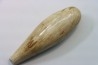 Sperm Whale tooth :Scaldicetus (2)