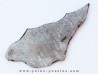 METEORITE siderite GIBEON
