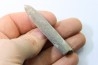 belemnite: Belemnitella Mucronatha - upper campanian - Höver, Hannover, Germany