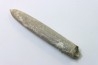 belemnite: Belemnitella Mucronatha - upper campanian - Höver, Hannover, Germany